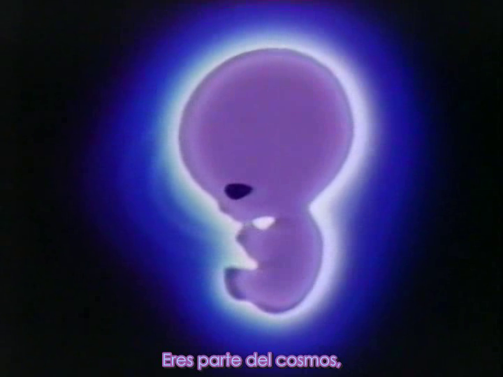 Arei no Kagami (MAI KAMIKAZE URLESAGA FANSUB)