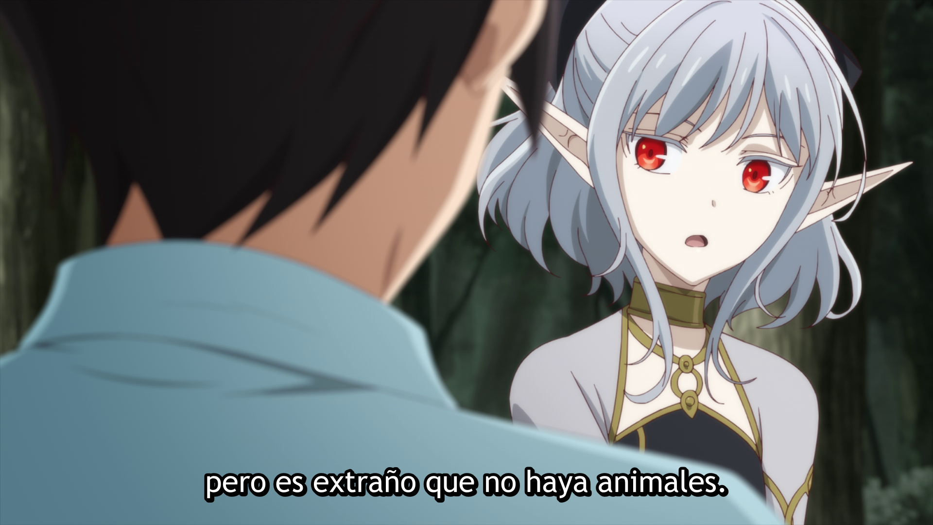 Isekai Mokushiroku Mynoghra (Erai-raws)