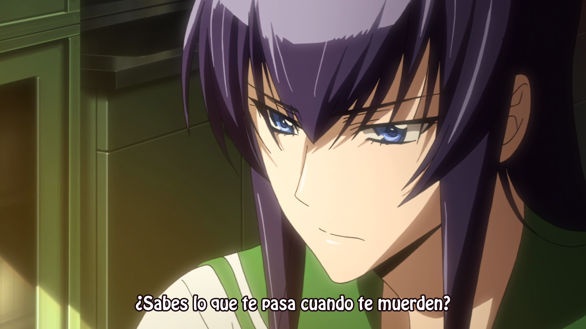 Highschool of the Dead (No Solo Anime)