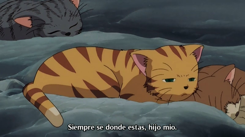 Seikai no Senki II (Freelancesubs)