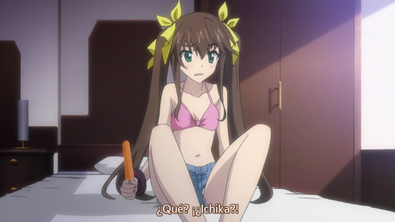 IS: Infinite Stratos 2 (Homika Subs)