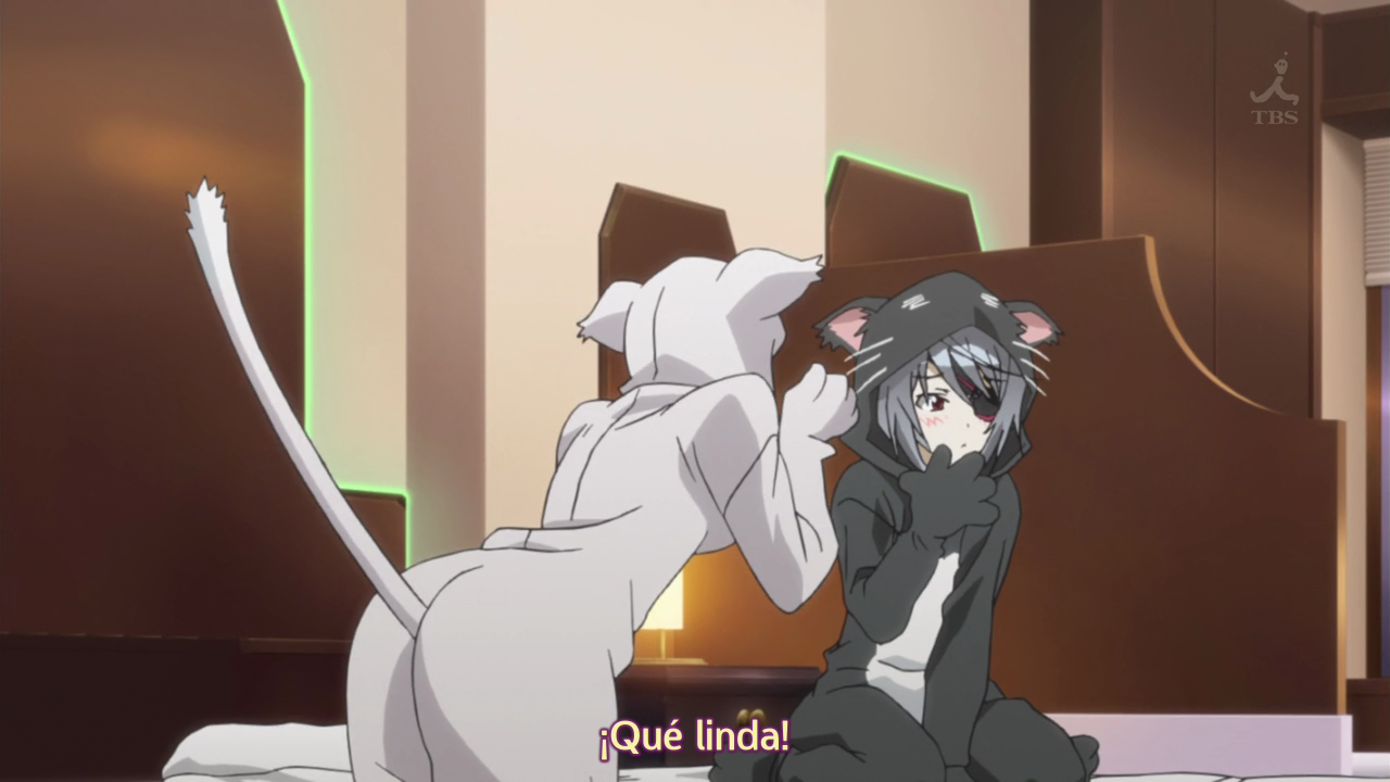 IS: Infinite Stratos 2 (Homika Subs)