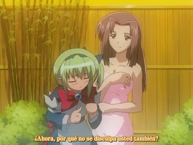 Guardian Hearts Power Up (?)