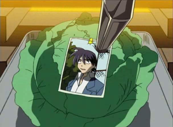 Happy Lesson (NosoloAnime Team)