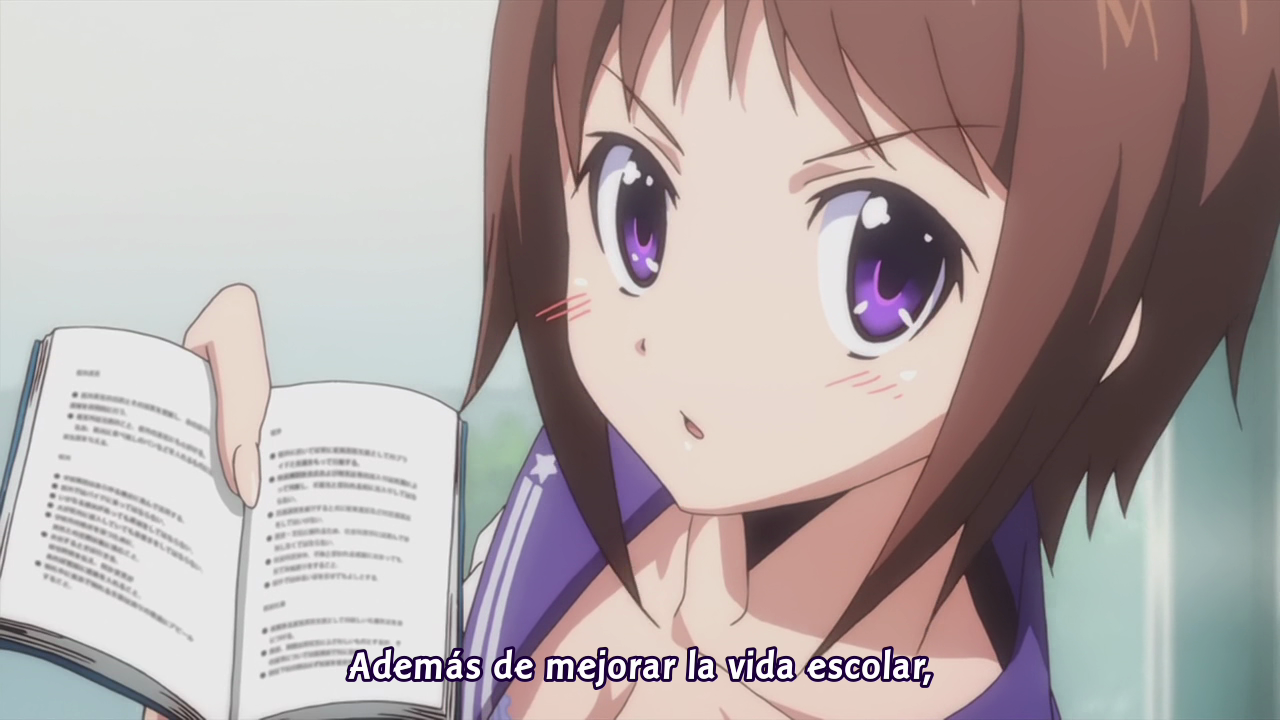 Okusama ga Seitokaichou! (Ficticio Fansub)