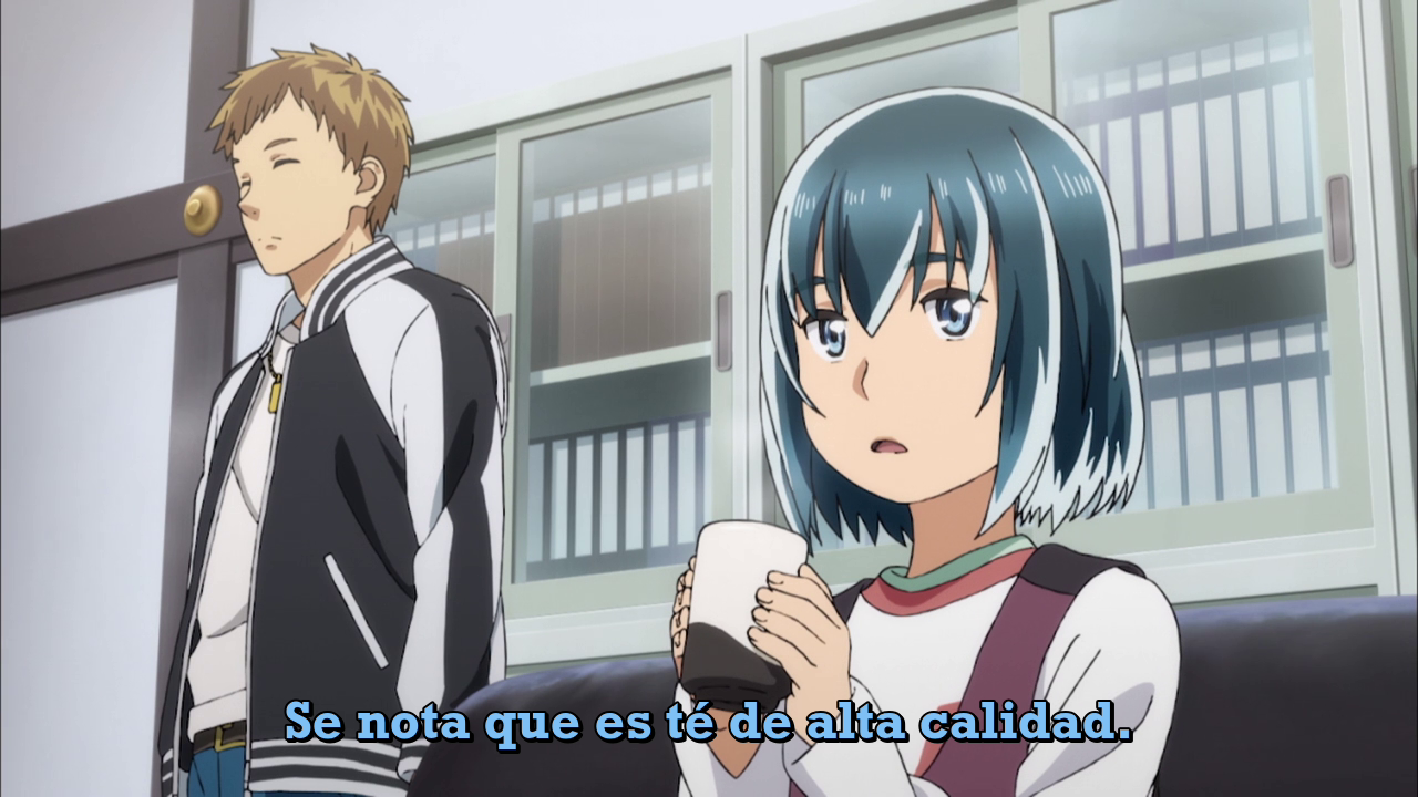 Hinamatsuri (Seinen no Fansub)