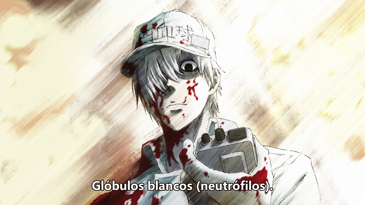 Hataraku Saibou (Seinen no Fansub)