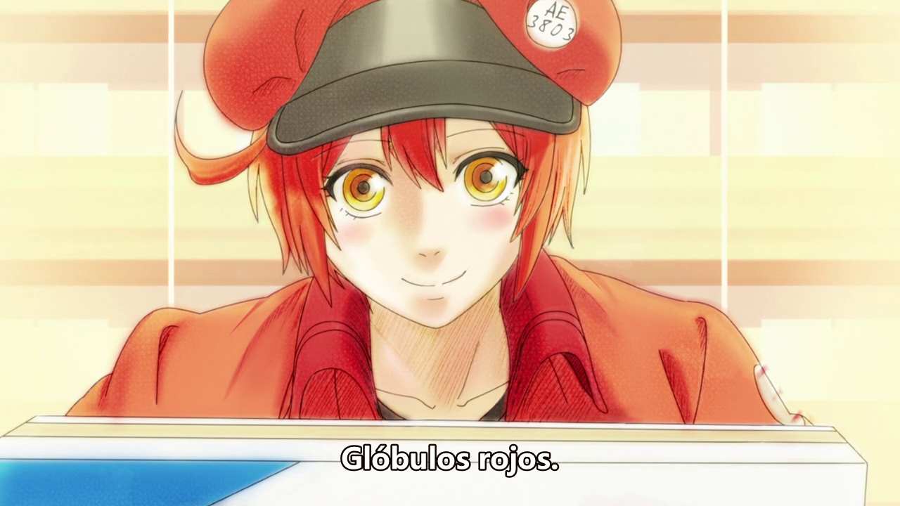 Hataraku Saibou (Seinen no Fansub)