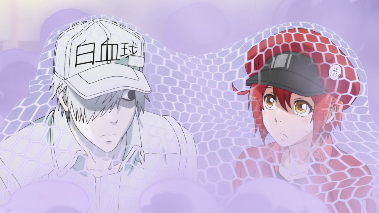 Hataraku Saibou (Seinen no Fansub)