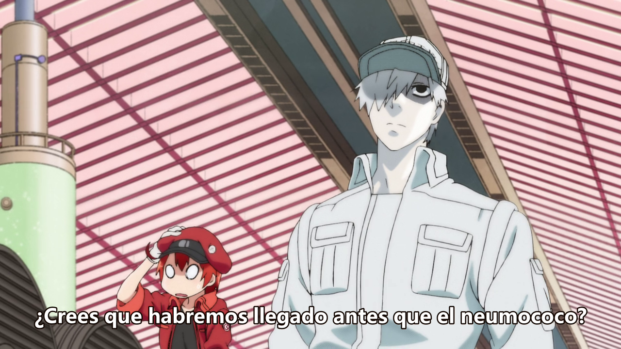 Hataraku Saibou (Seinen no Fansub)