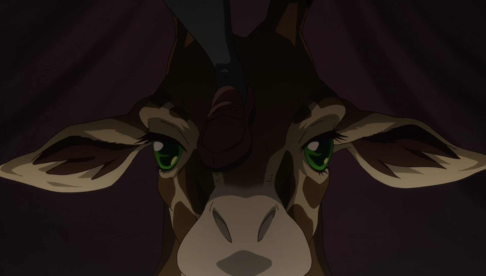 shoujo kageki revue starlight  (Puyasubs!)