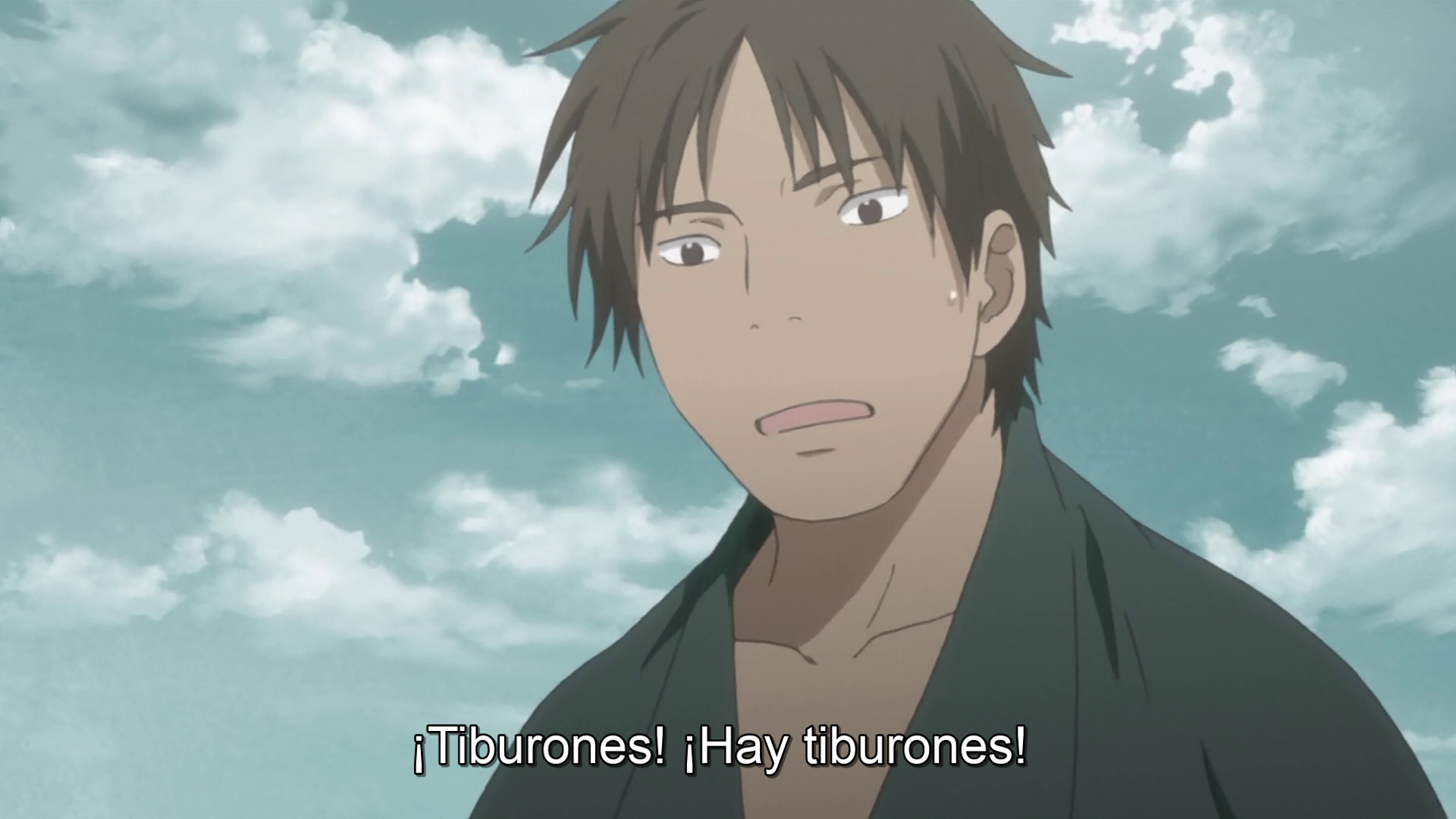mushishi (luipi)
