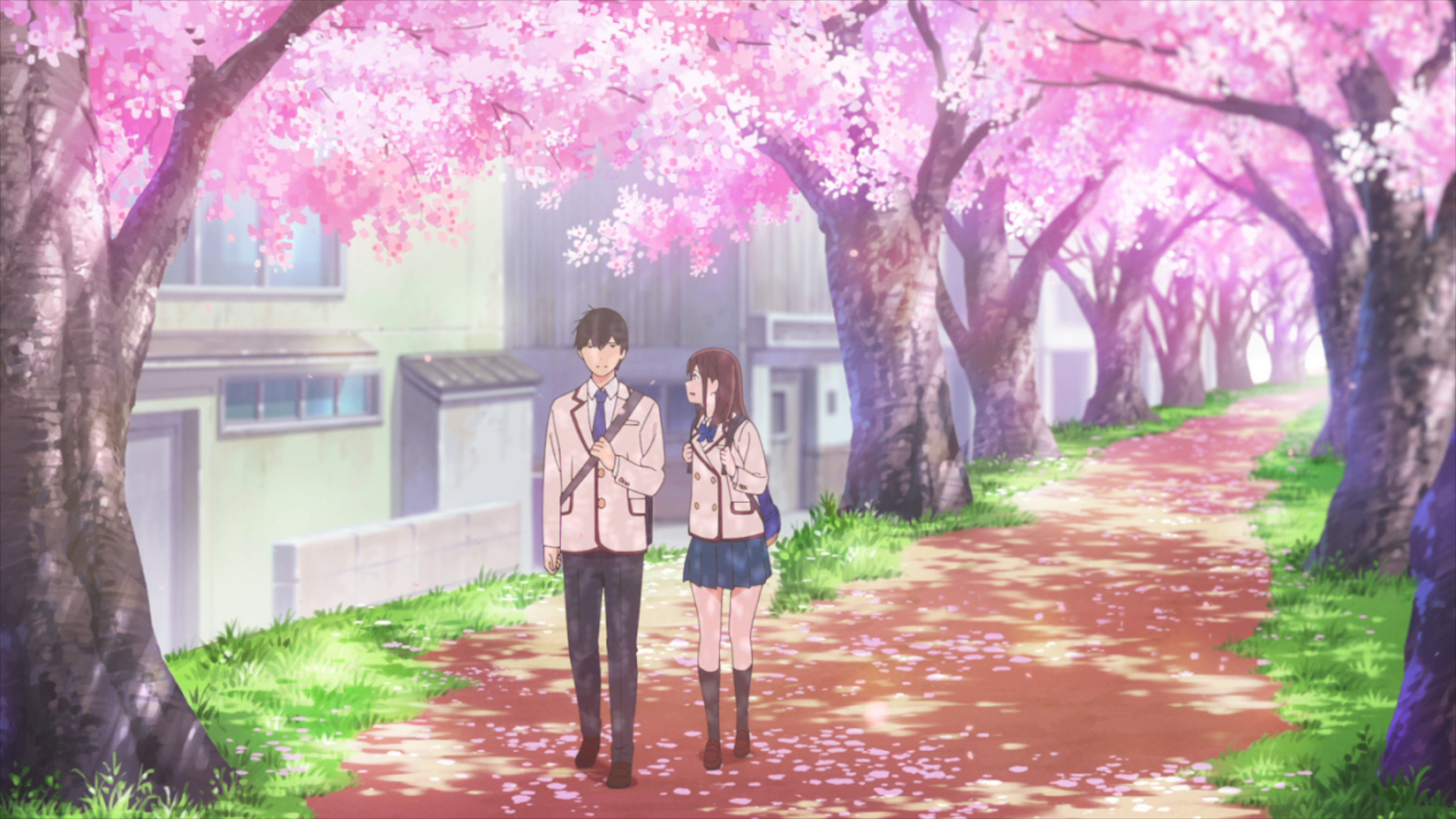 Kimi no Suizou wo Tabetai (Sonike)