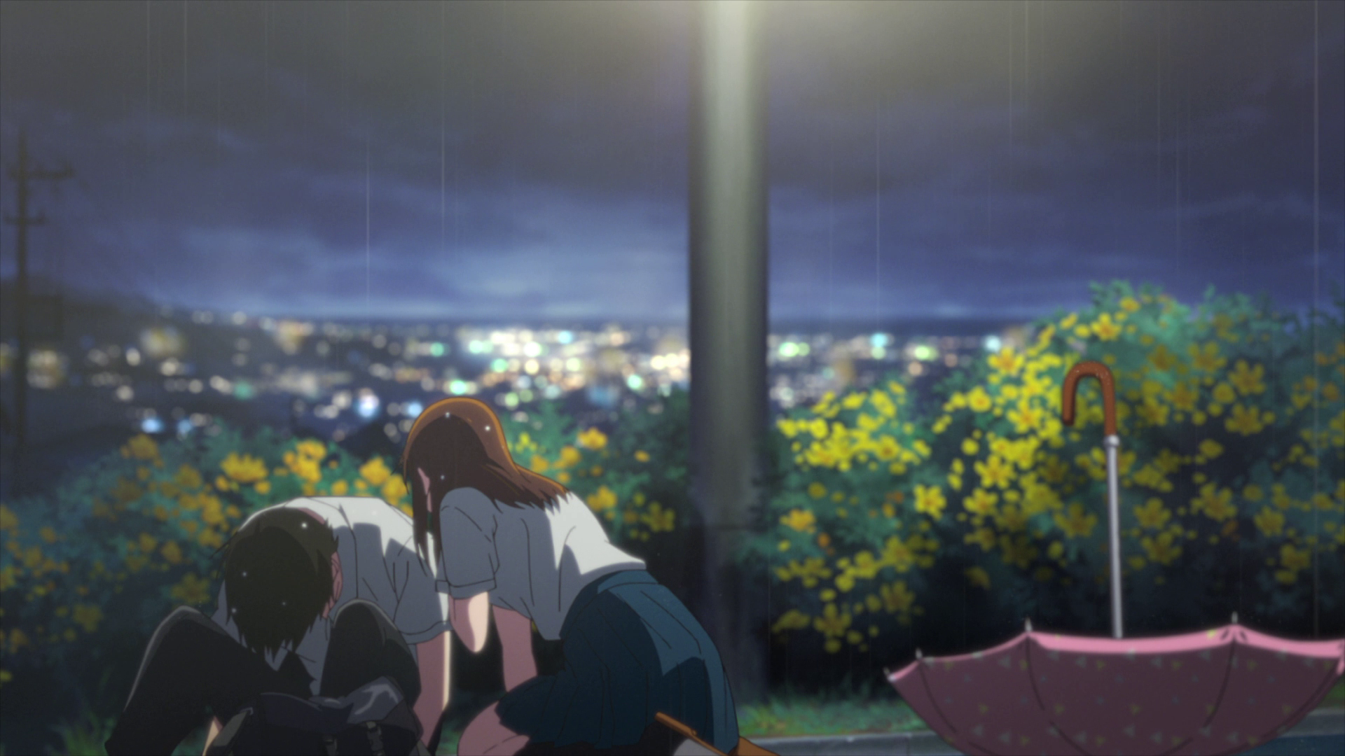 Kimi no Suizou wo Tabetai (Sonike)