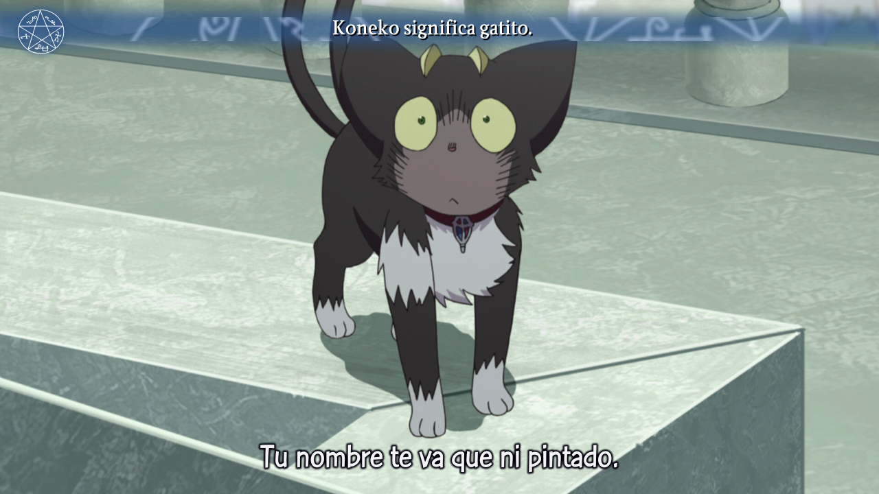 Blue Exorcist (BackBeard)