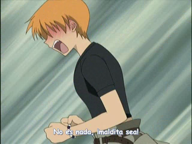 Fruits Basket (Wing Zero Fansub)