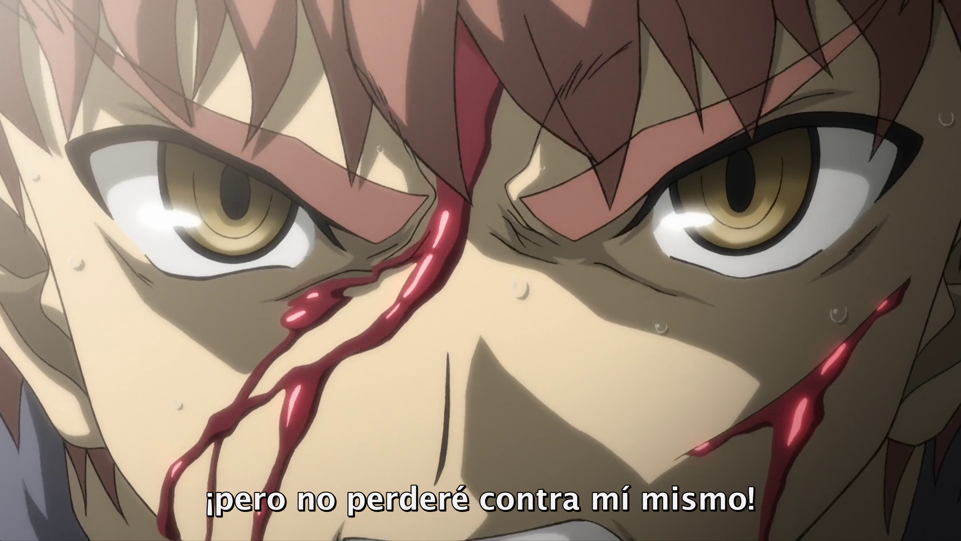 Fate/stay night Movie: Unlimited Blade Works (AnimeHD)