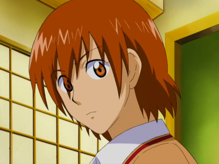  Gokujou Seitokai (AnimeRakuen)