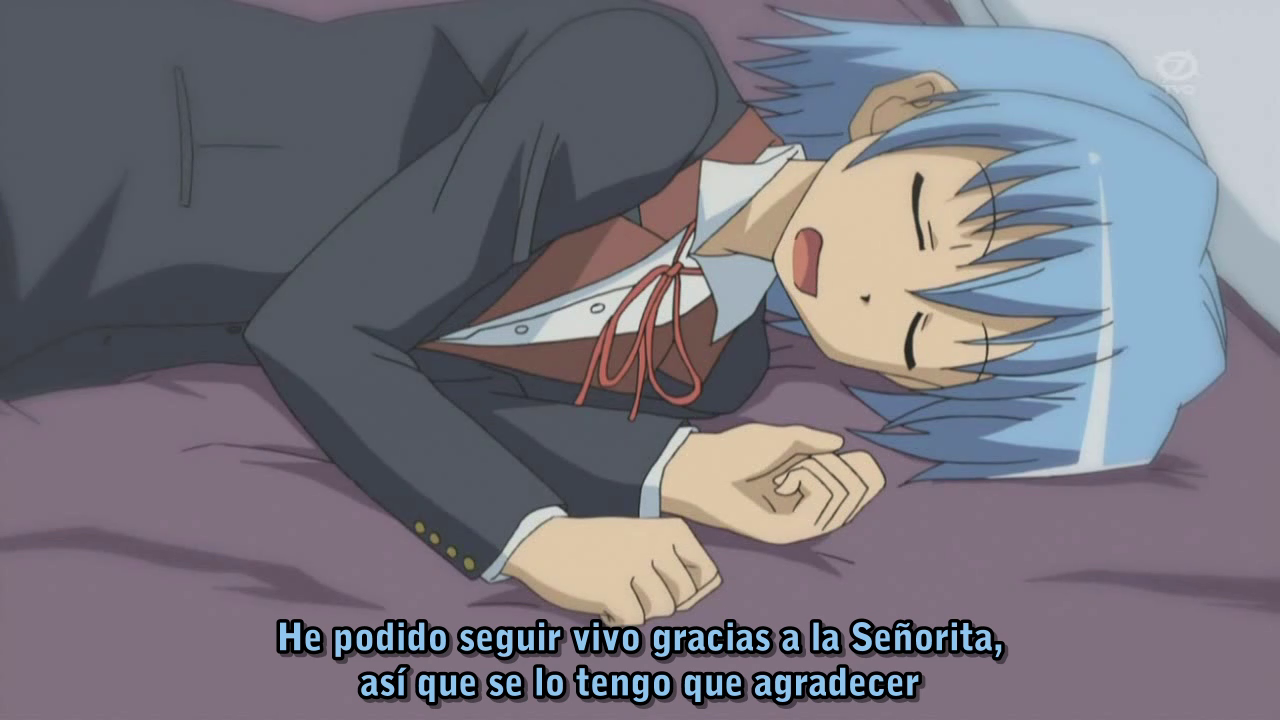 Hayate no Gotoku! (Saehara Fansub, Hitori no Fansub)