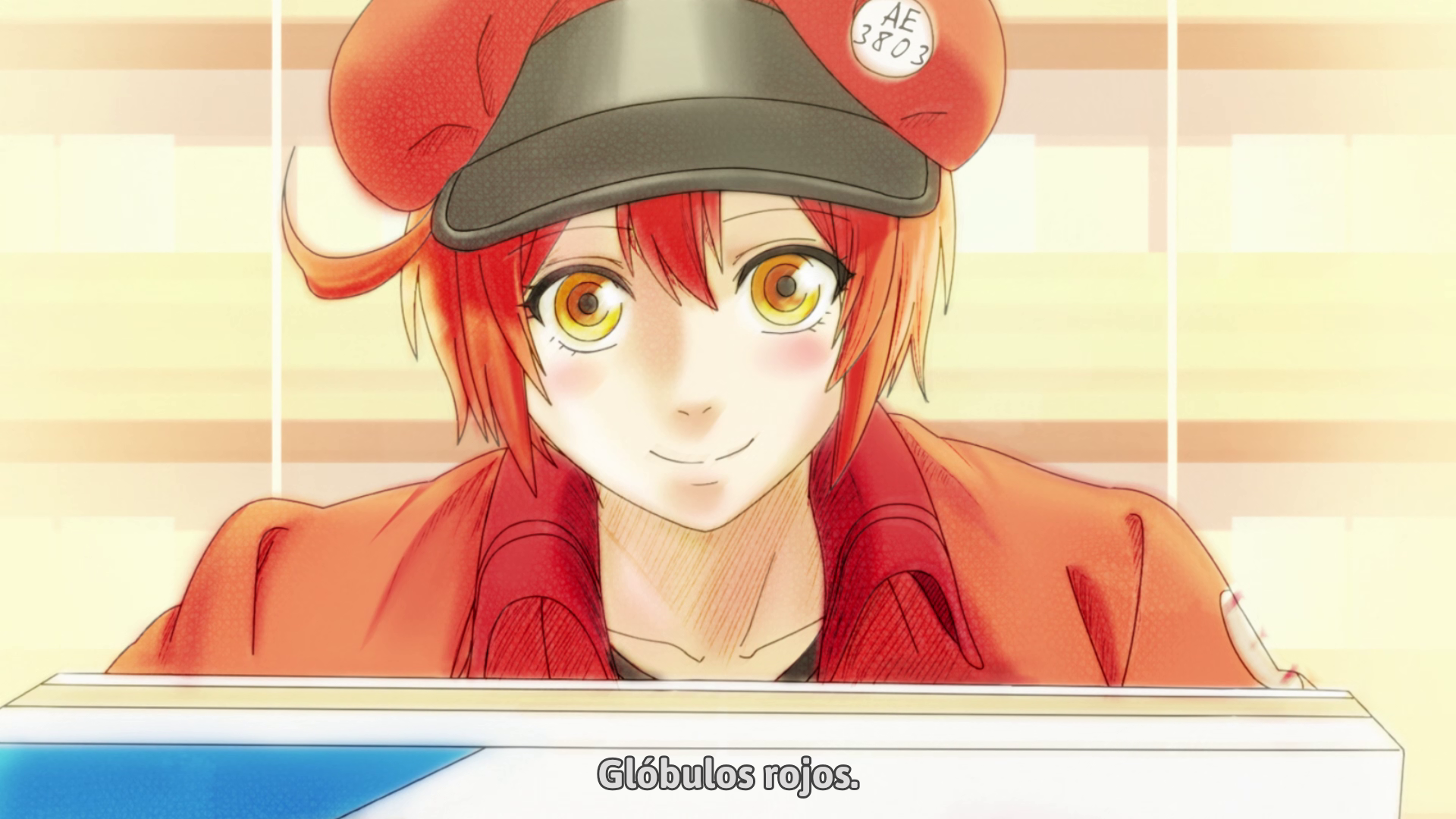 Hataraku Saibou (TV) (Otaku Tail No Fansub)