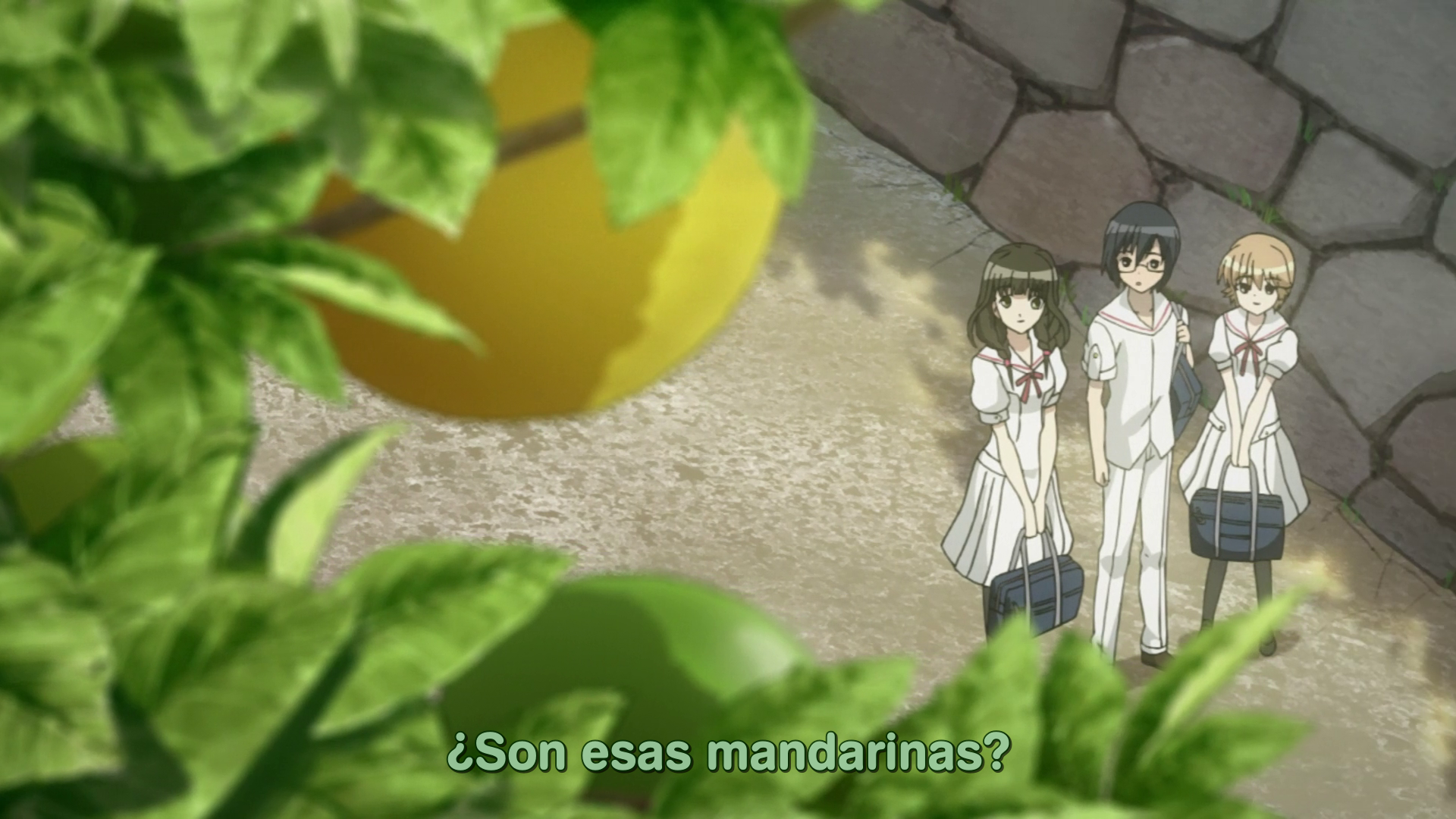 Ookamikakushi (Dango-Speedo no Fansub)