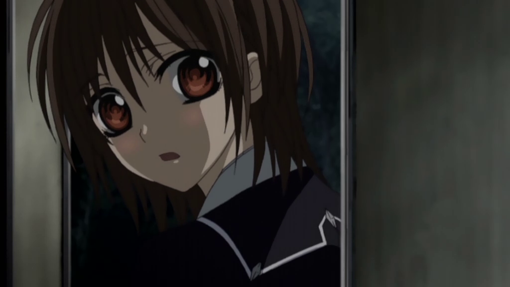 Vampire Knight (AnimeRakuen)