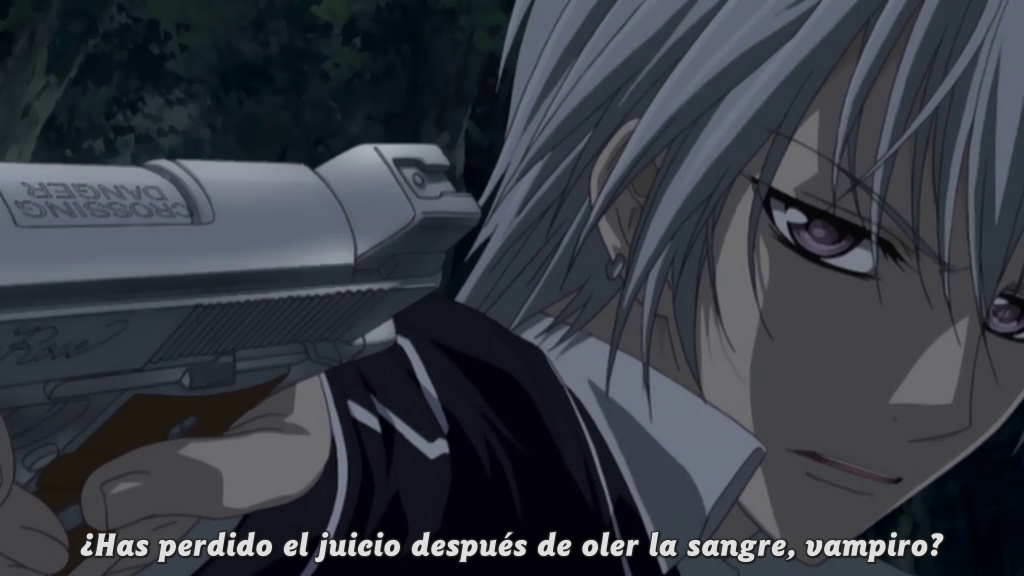 Vampire Knight (AnimeRakuen)