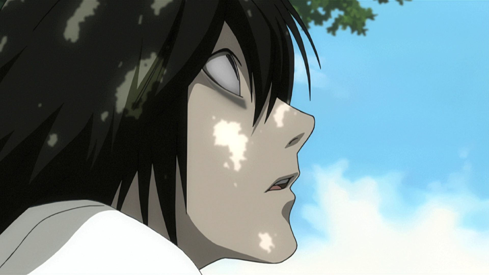 Death Note: Rewrite (Sonike)