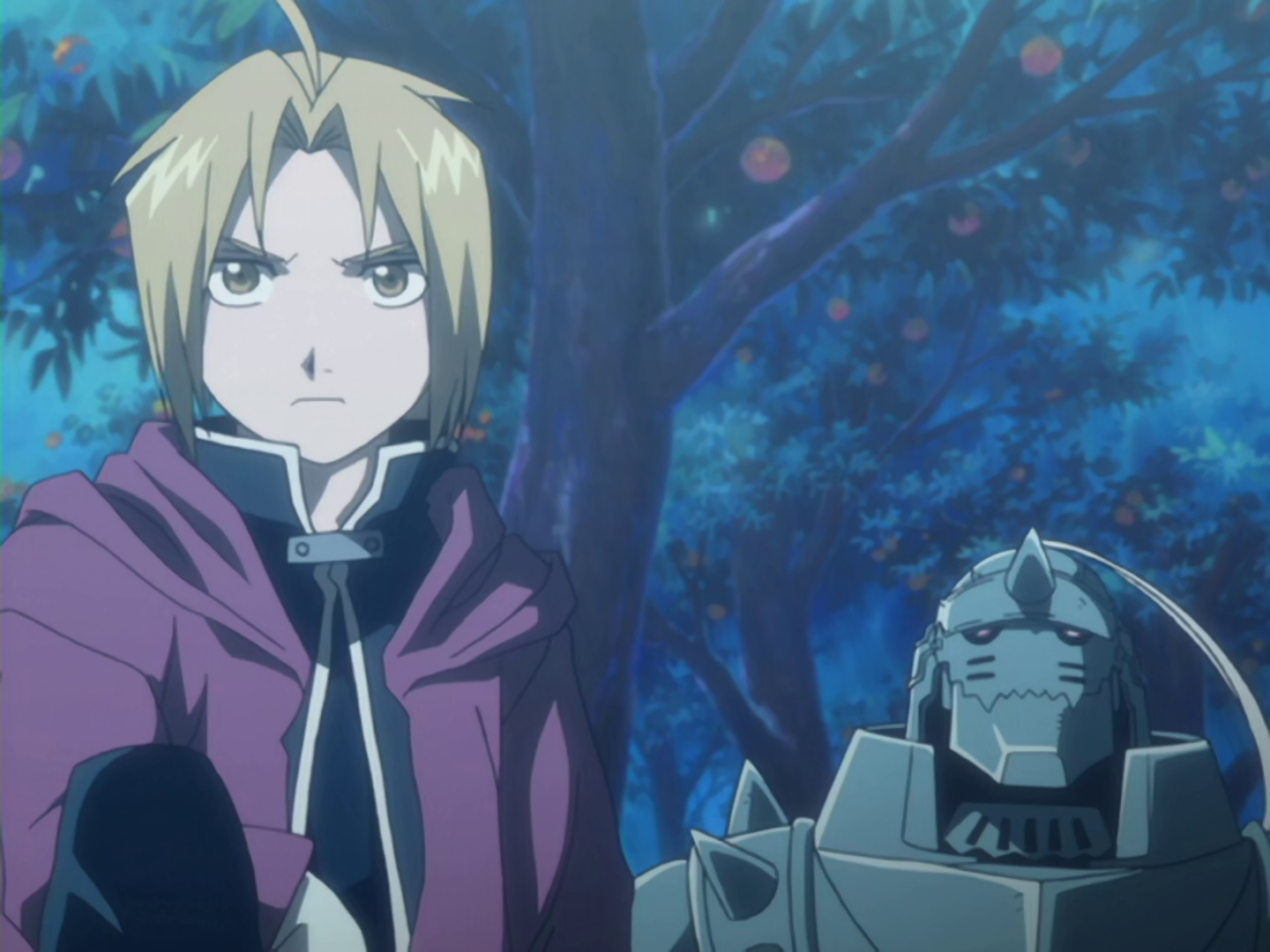 Fullmetal Alchemist (tonira)