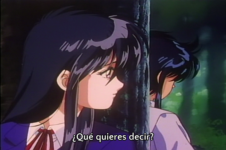 Dragon Fist (Kamonohashi no Fansub)