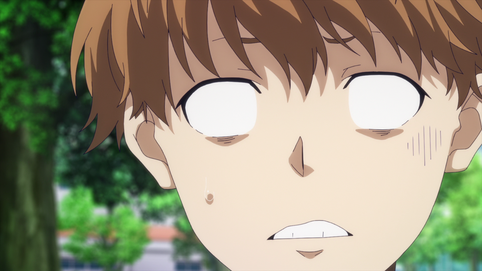 Kamonohashi Ron no Kindan Suiri (Kamonohashi no Fansub)