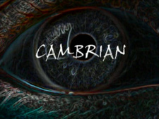 Cambrian