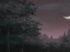 Shinjin Tour Conductor