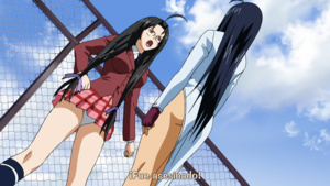 Ikkitousen - Dragon Destiny