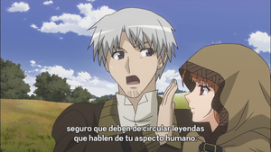 Spice and Wolf
