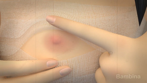 Inachin: Observation Diary