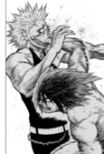 Hinomaru Zumou 