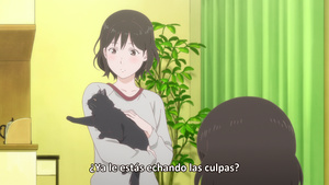 Kanojo to Kanojo no Neko: Everything Flows