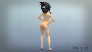 Inachin: Observation Diary