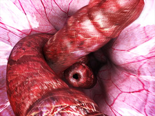 - little ballerina - HINA BITCH! 2 EX