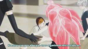 Houseki no Kuni (TV)