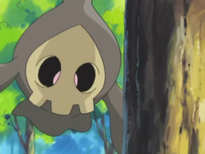 Pokémon Advanced Generation