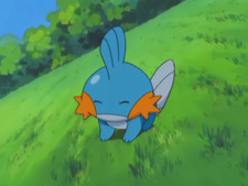 Pokémon Advanced Generation