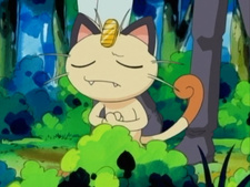 Pokemon Advanced Generation