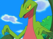 Pokemon Advanced Generation