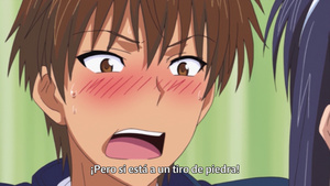 Ane Koi: Suki Kirai Daisuki.