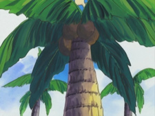 Pokémon Advanced Generation