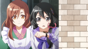 Shin Sakura Taisen the Animation