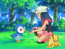 Pokemon Diamond & Pearl