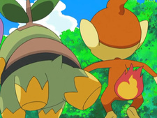 Pokemon Diamond & Pearl